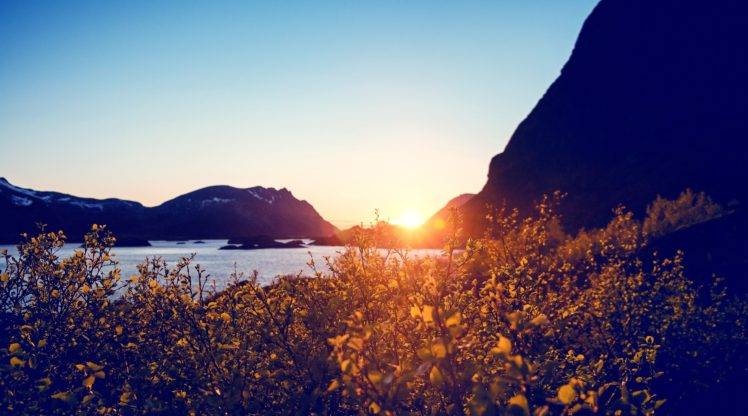 sunset, Rocks, Bushes, Water HD Wallpaper Desktop Background