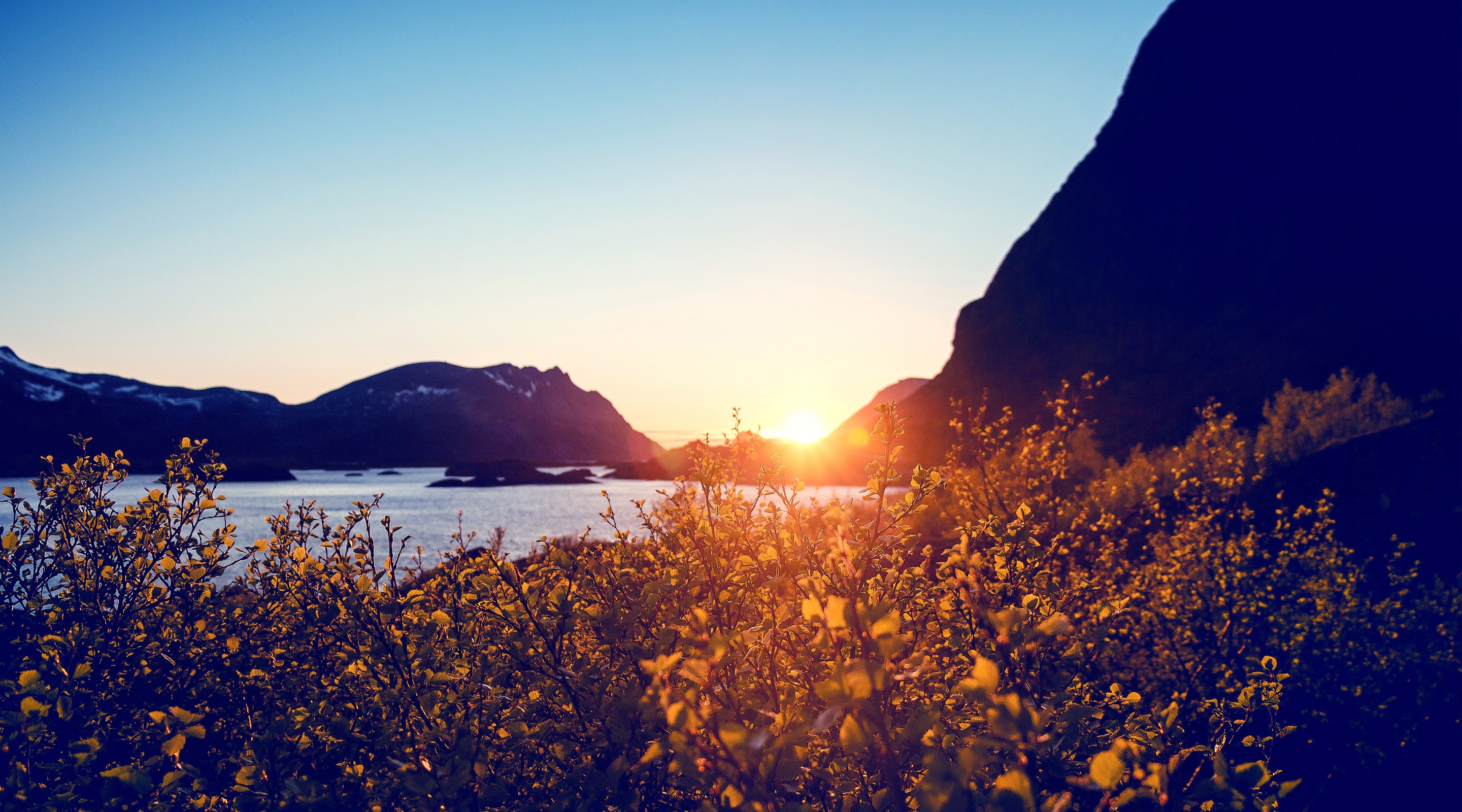 sunset, Rocks, Bushes, Water Wallpaper