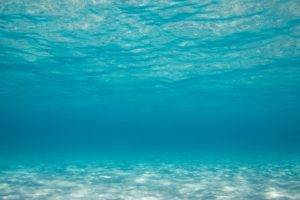 photography, Sea, Water, Underwater