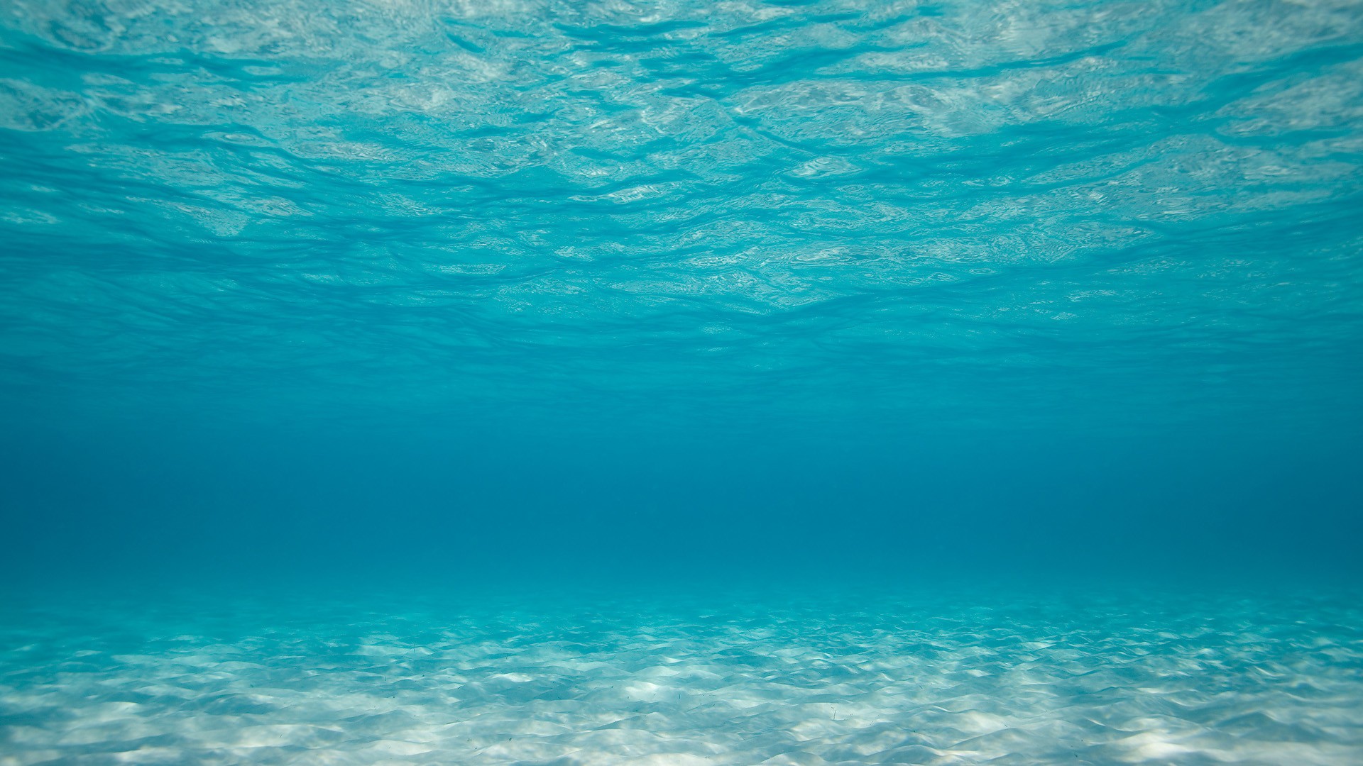 photography, Sea, Water, Underwater Wallpaper