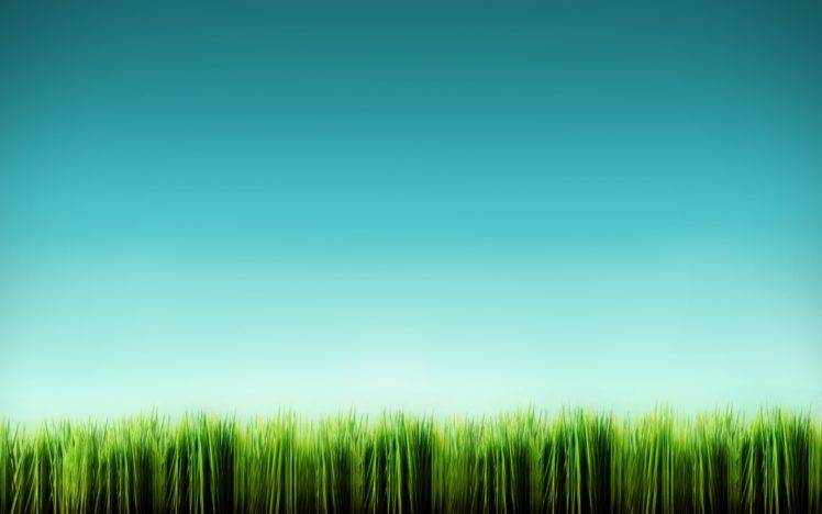 grass, Digital art HD Wallpaper Desktop Background