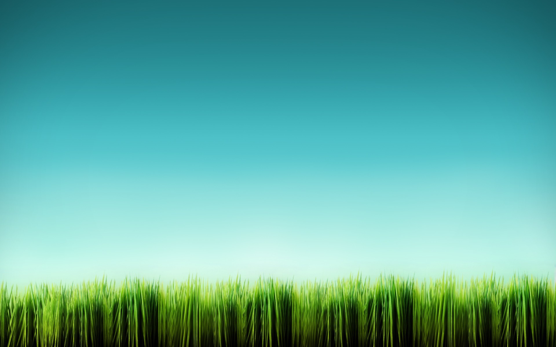 grass, Digital art Wallpaper