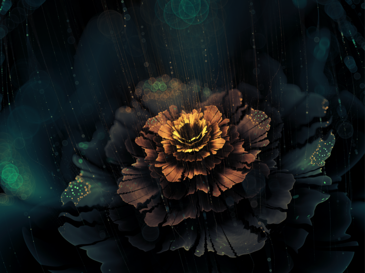 rain, Fractal, Fractal flowers HD Wallpaper Desktop Background