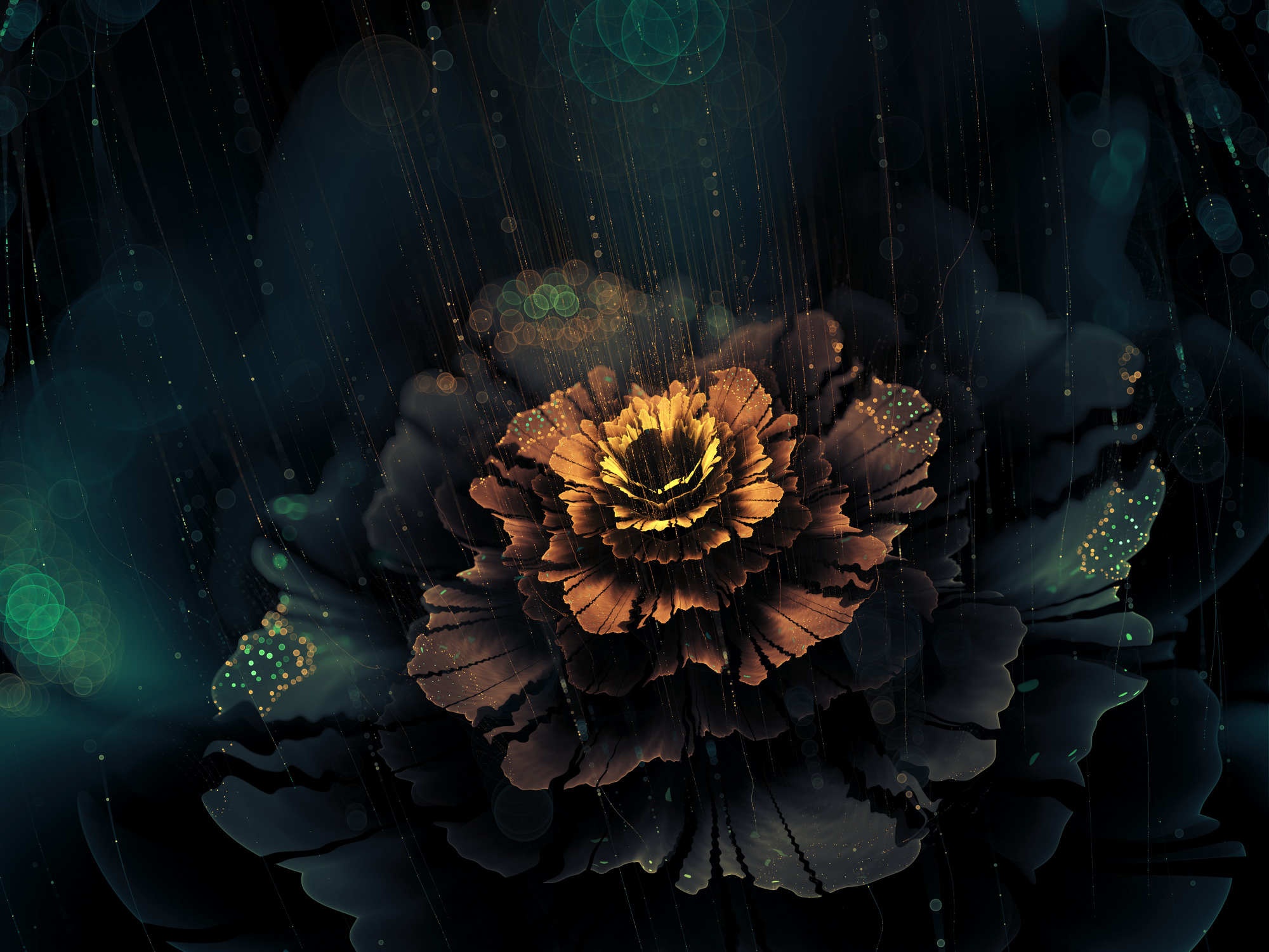 rain, Fractal, Fractal flowers Wallpaper