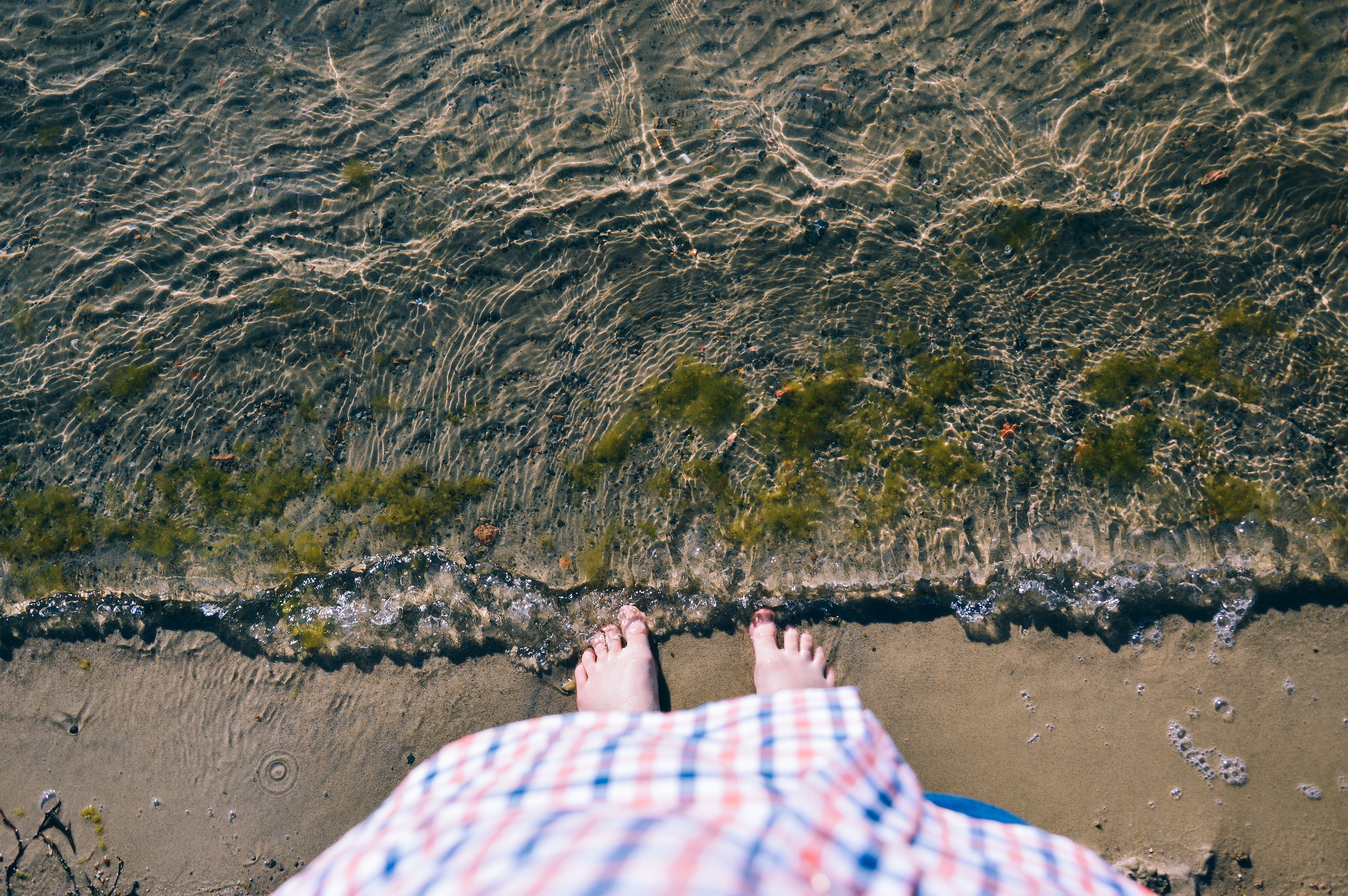 feet, Beach, Water, Waves, Seaweed Wallpaper