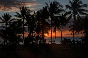 palm trees, Sun, Silhouette, Sunset