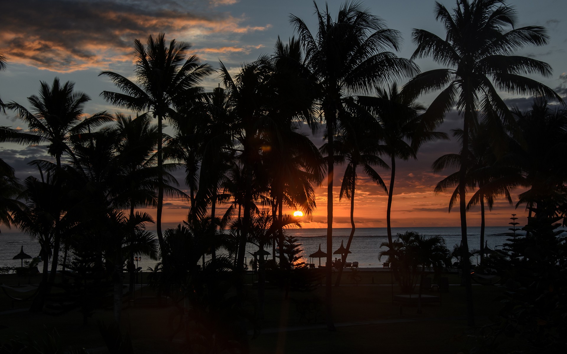 palm trees, Sun, Silhouette, Sunset Wallpaper