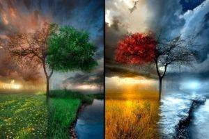 seasons, Trees, Winter, Snow, Sun, Sky, Grass, Water, Rain, Summer, Leaves