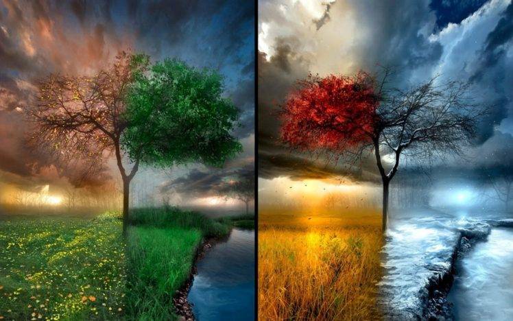 seasons, Trees, Winter, Snow, Sun, Sky, Grass, Water, Rain, Summer, Leaves HD Wallpaper Desktop Background