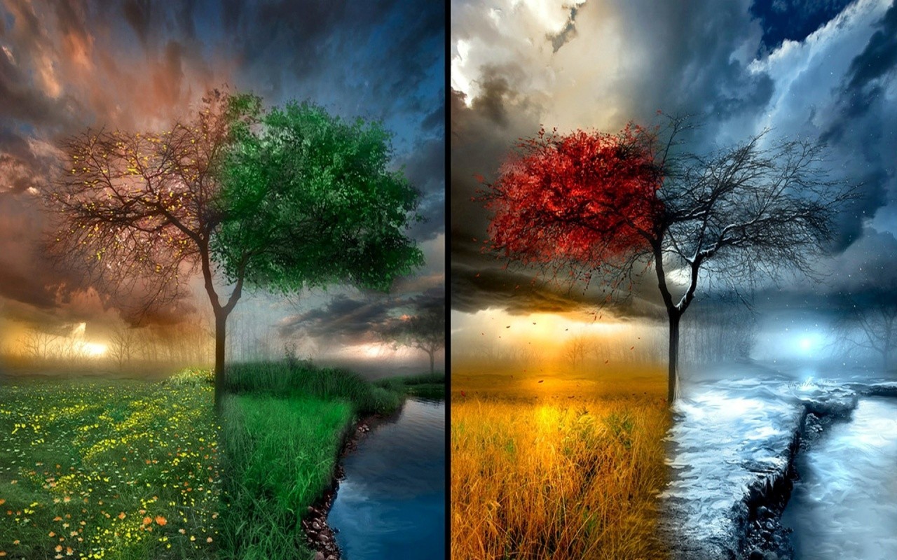 seasons, Trees, Winter, Snow, Sun, Sky, Grass, Water, Rain, Summer, Leaves Wallpaper