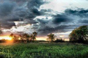 nature, Clouds, Sunset, HDR, Grass, Trees