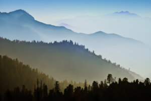 OS X, Mac OS X, Mountains, Forest, Mist