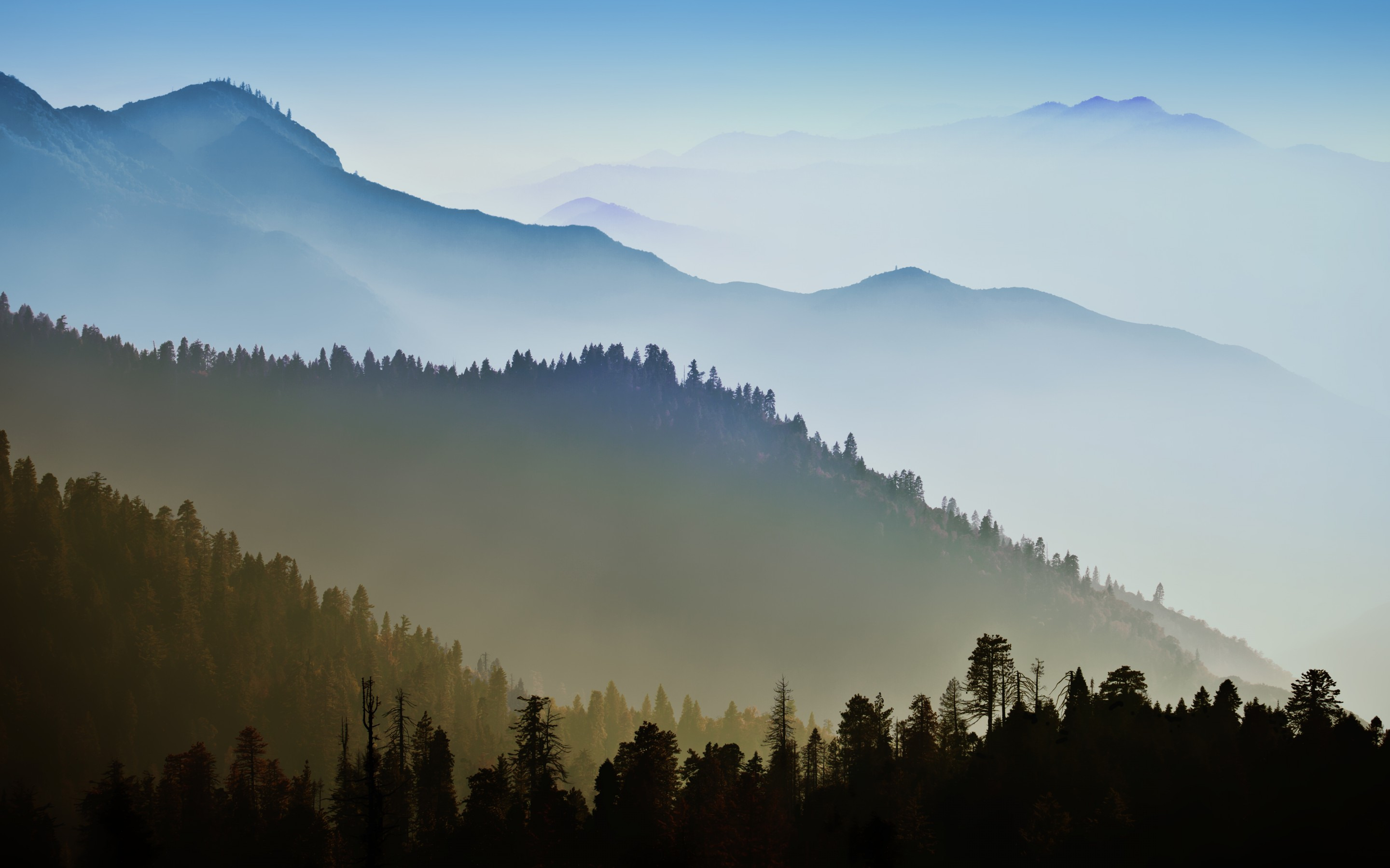 OS X, Mac OS X, Mountains, Forest, Mist Wallpaper