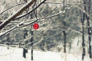 trees, Christmas ornaments, Snow, Winter, Branch, Depth of field
