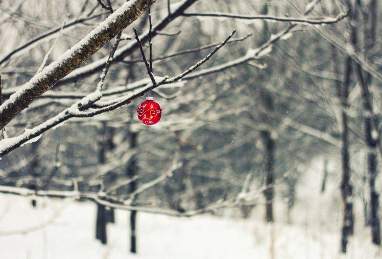 trees, Christmas ornaments, Snow, Winter, Branch, Depth of field HD Wallpaper Desktop Background