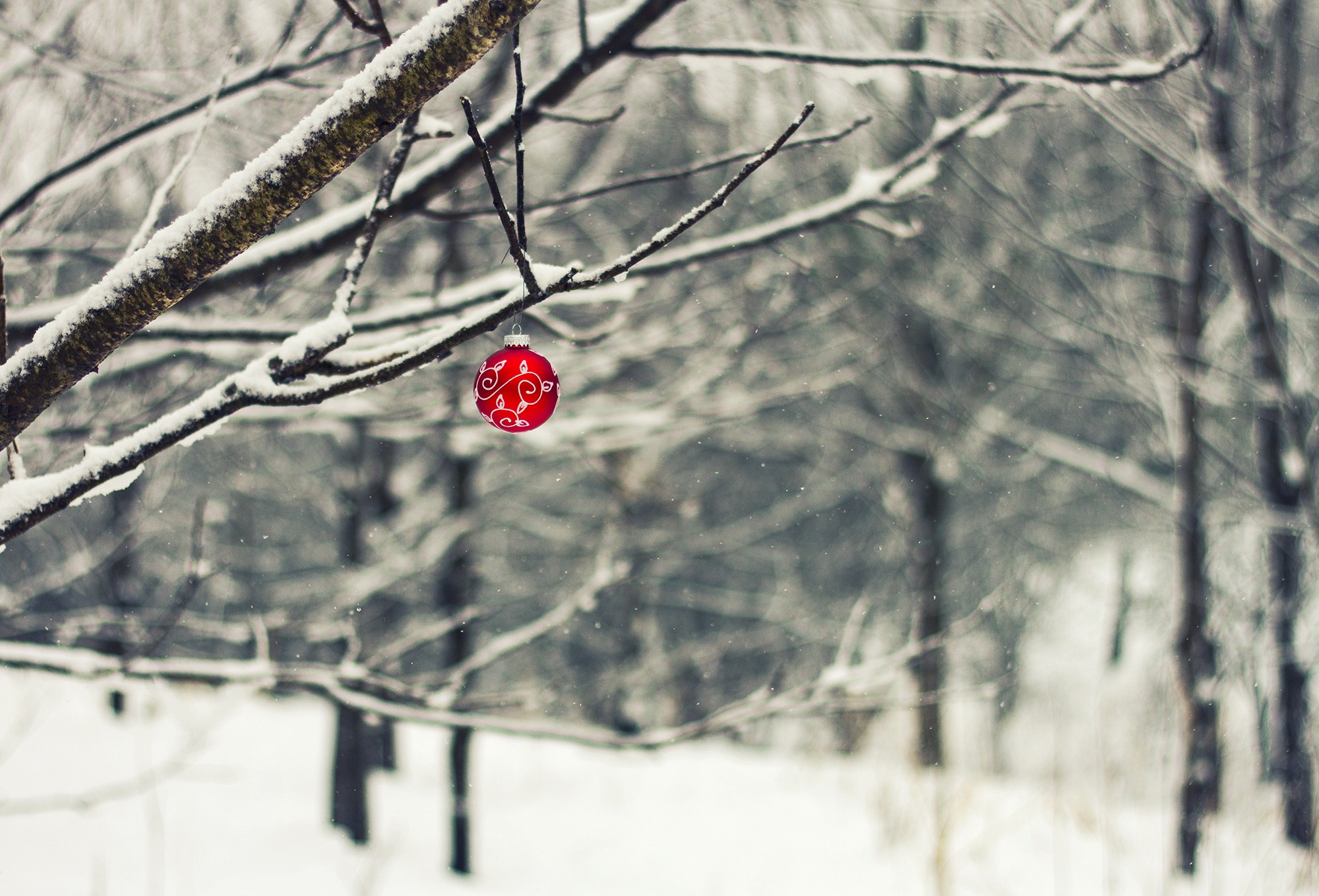 trees, Christmas ornaments, Snow, Winter, Branch, Depth of field Wallpaper