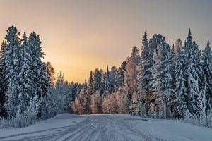 winter, Trees, Snow, Nature