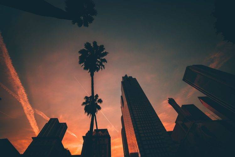 palm trees, Building, Sunset, Cityscape HD Wallpaper Desktop Background