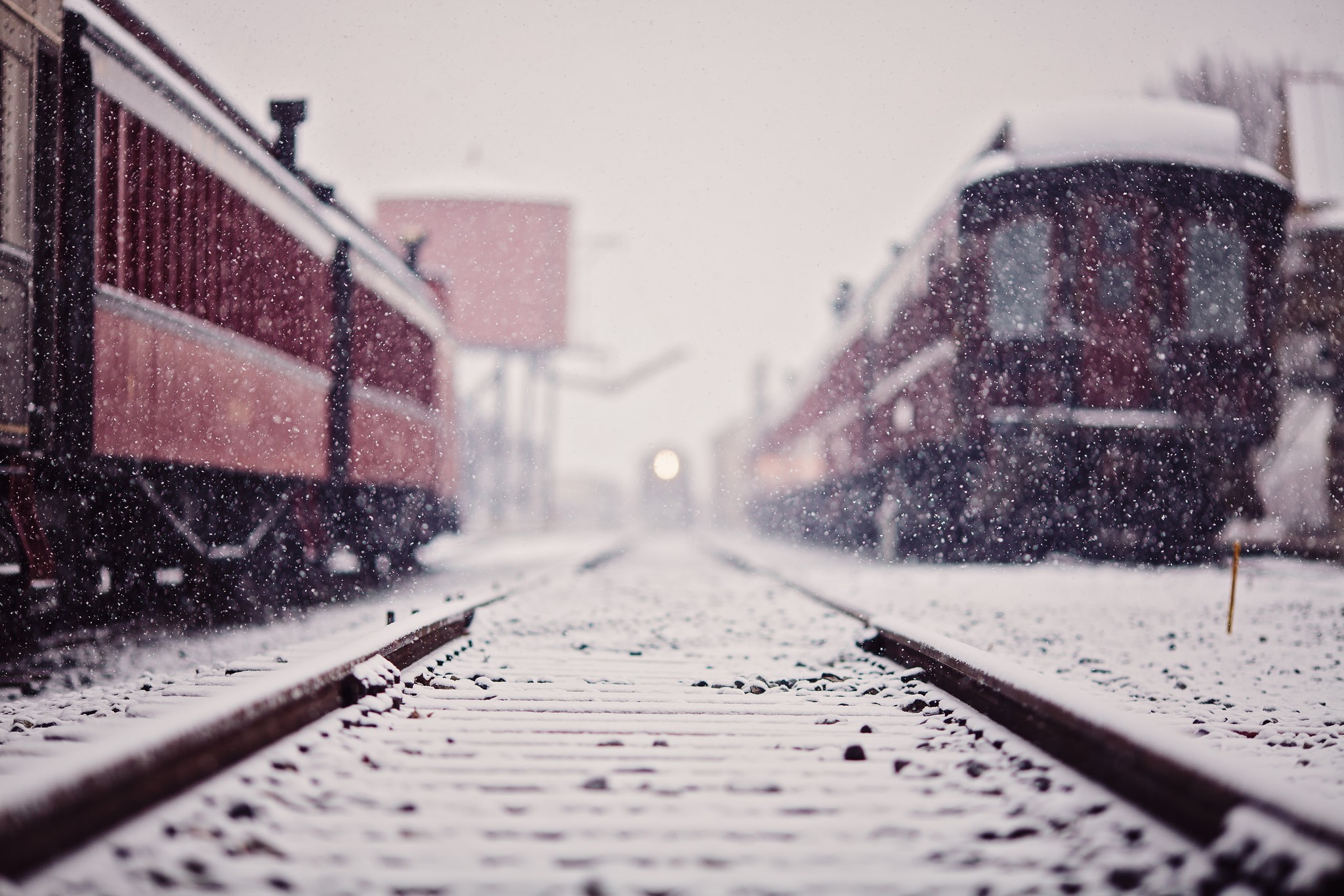 train, Snow, Depth of field, Railway, Winter Wallpaper