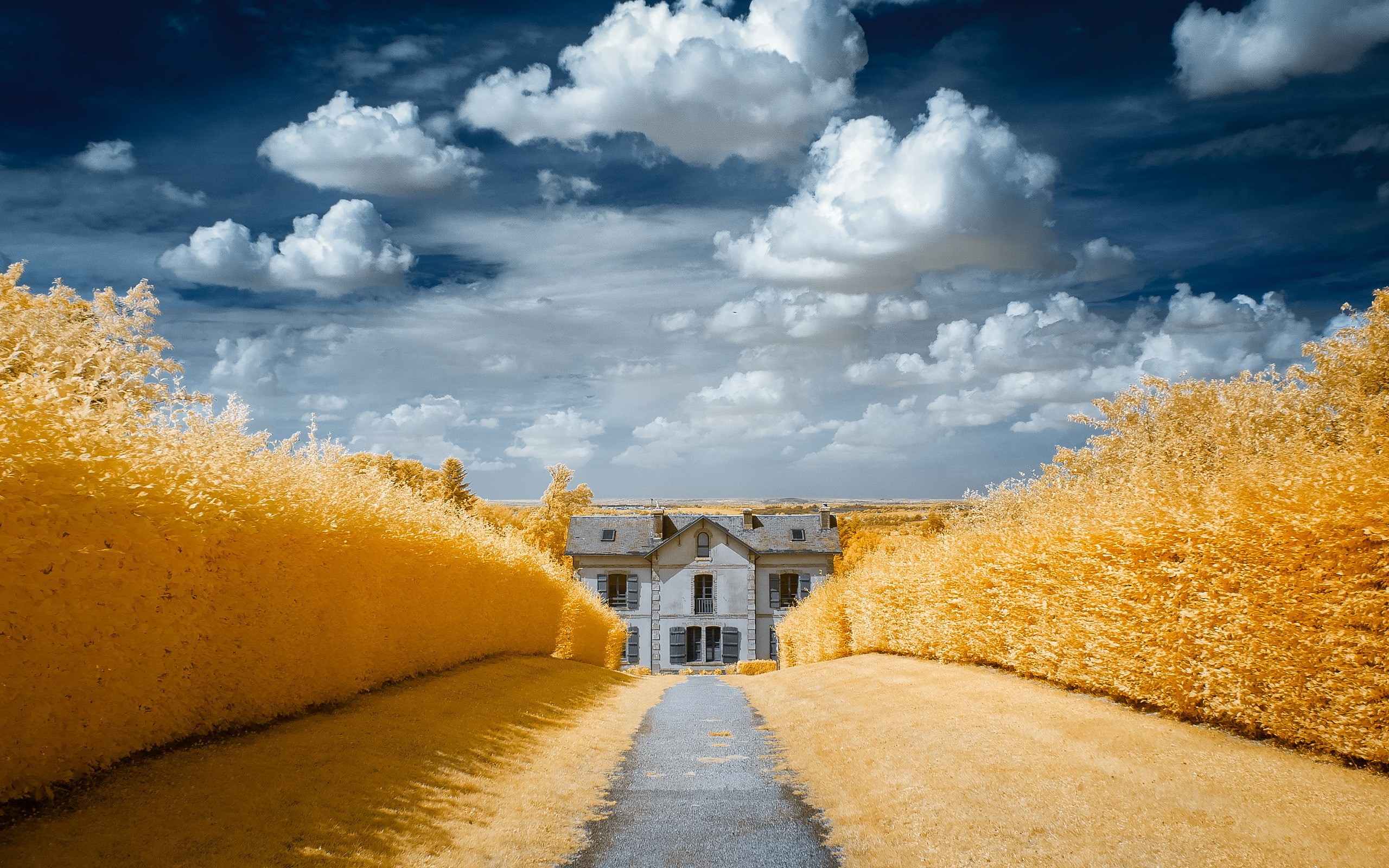 house, Clouds, Field, Yellow Wallpaper