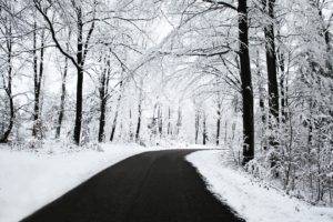 trees, Snow, Road, Forest