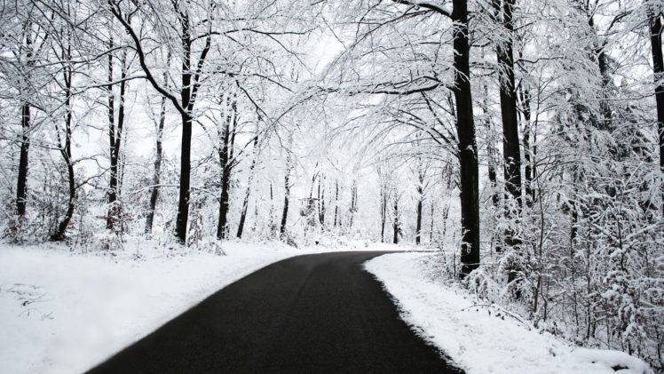 trees, Snow, Road, Forest HD Wallpaper Desktop Background