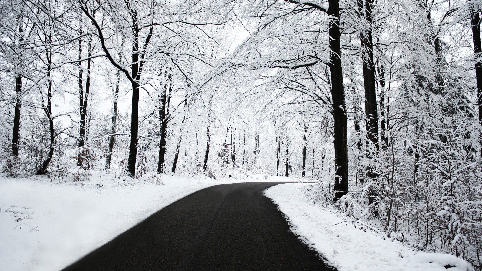 trees, Snow, Road, Forest Wallpaper