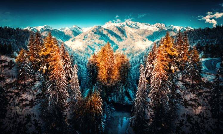 winter, Forest, Snow HD Wallpaper Desktop Background