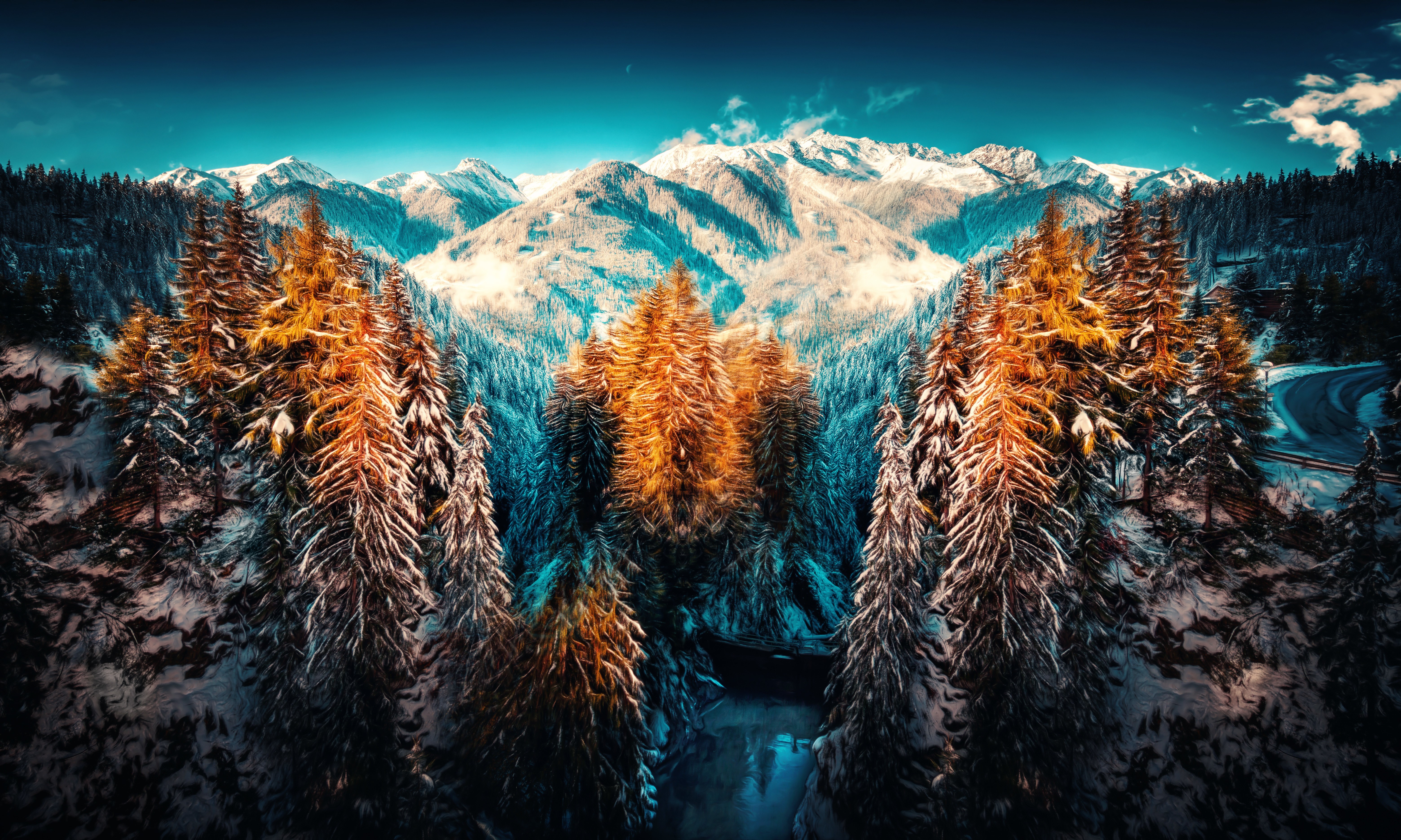 winter, Forest, Snow Wallpaper