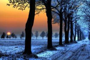 snow, Dirt road, Trees, Sunset