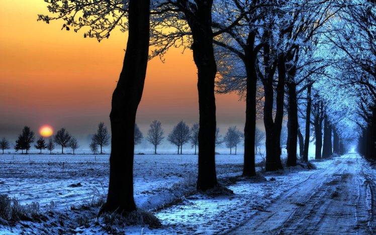 snow, Dirt road, Trees, Sunset HD Wallpaper Desktop Background