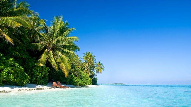 palm trees, Sea, Sky, Beach, Sunbed HD Wallpaper Desktop Background