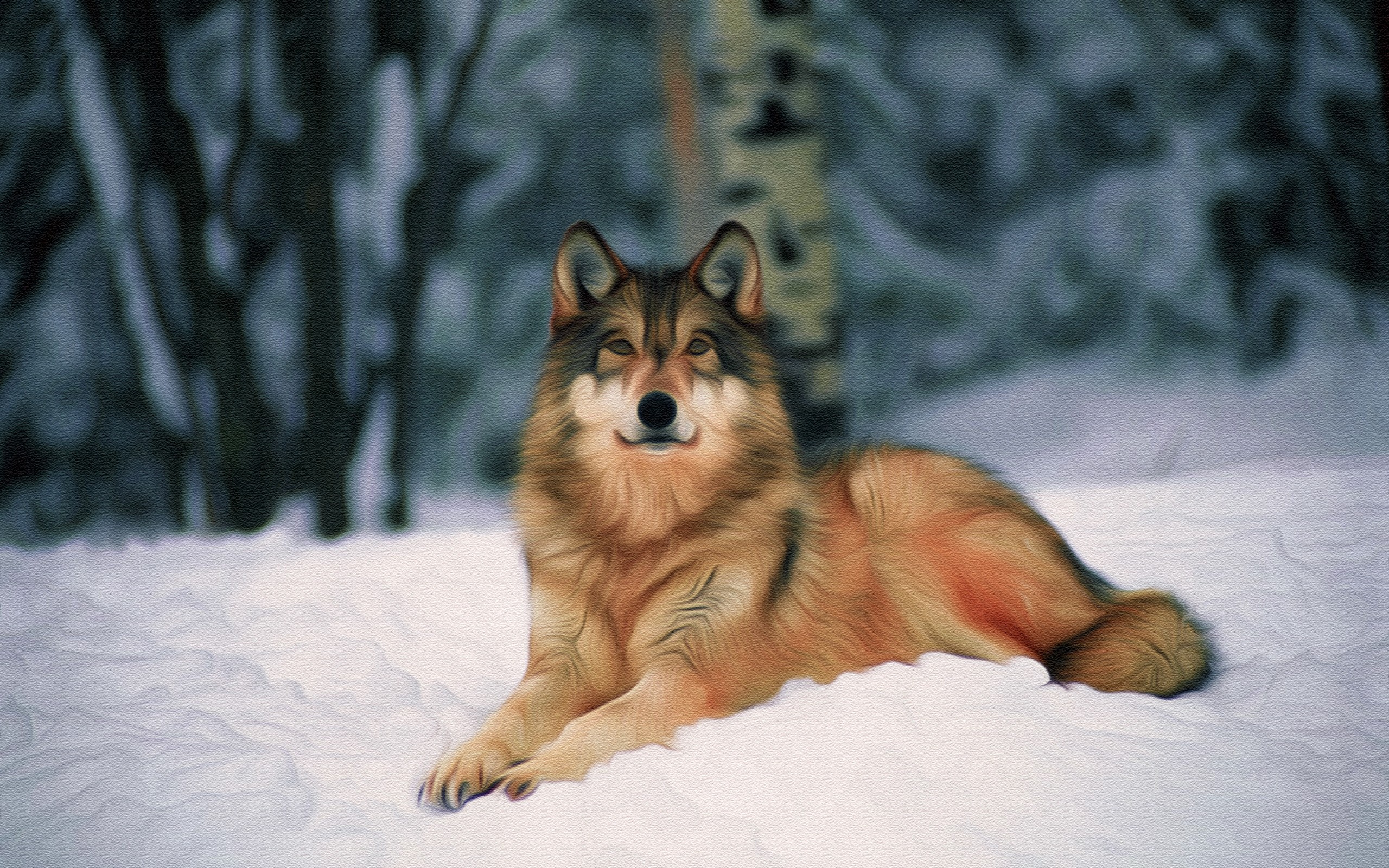 wolf, Snow, Forest Wallpaper