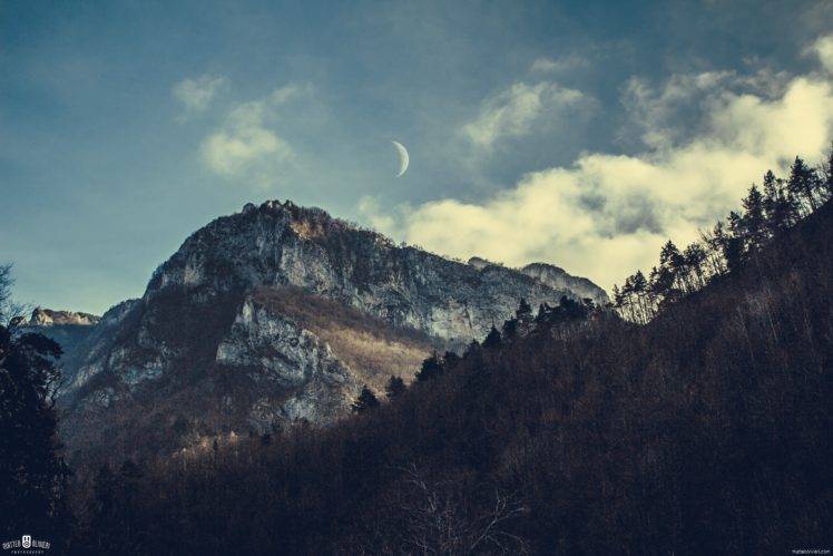 mountains, Forest HD Wallpaper Desktop Background