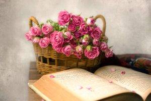rose, Flowers, Books, Baskets, Pink flowers