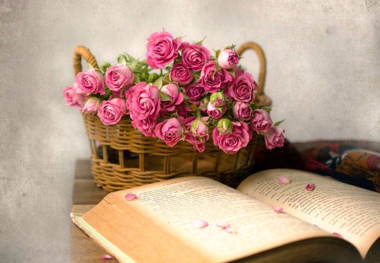 rose, Flowers, Books, Baskets, Pink flowers HD Wallpaper Desktop Background