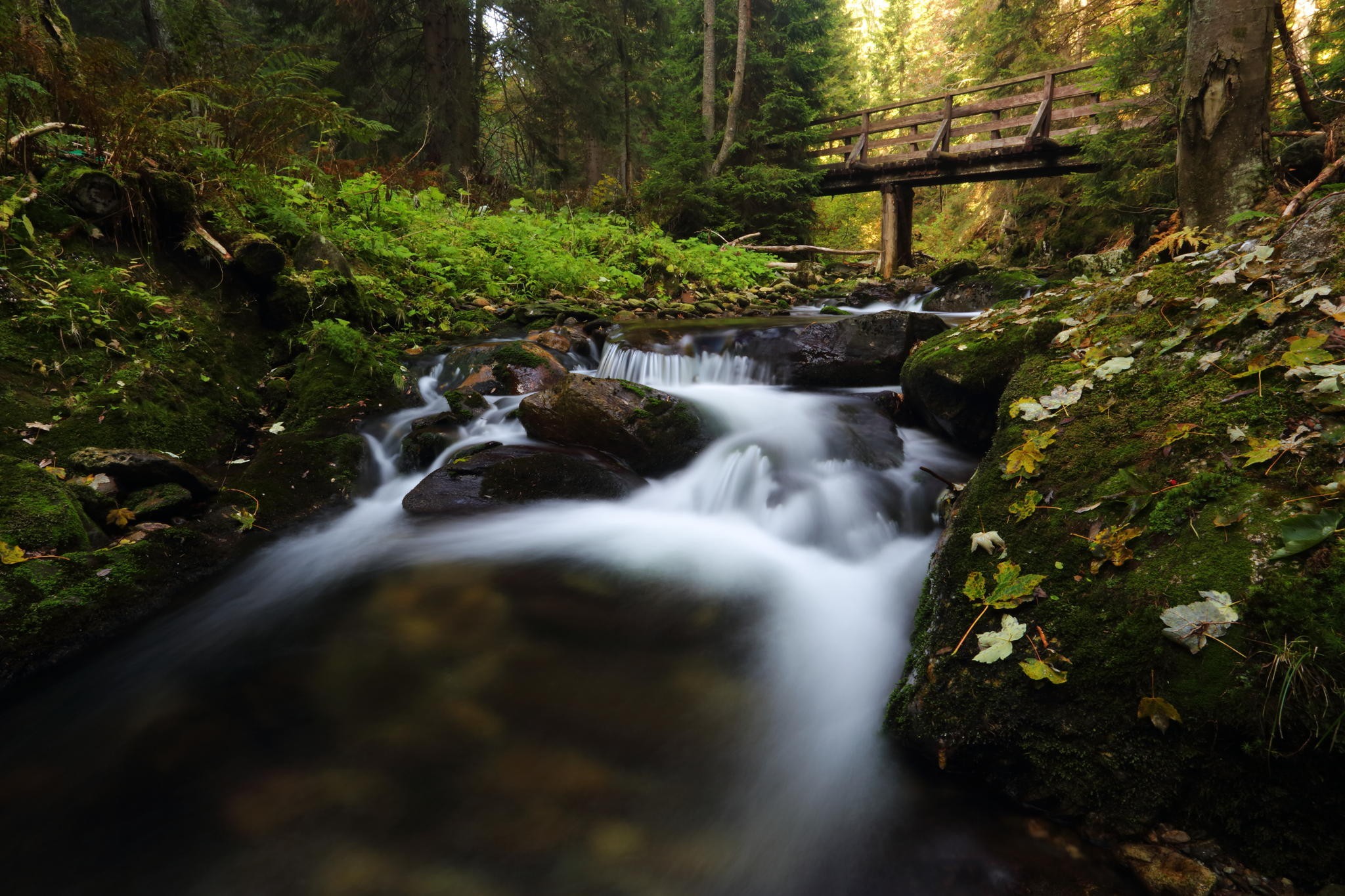 river, Nature Wallpaper