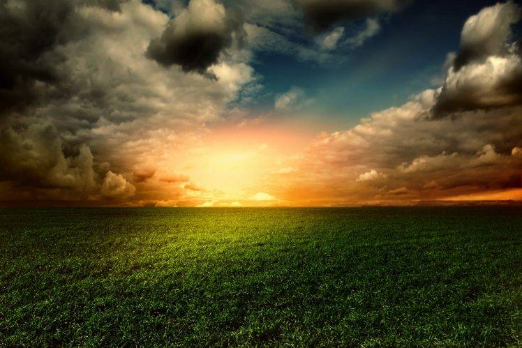 grass, Clouds HD Wallpaper Desktop Background