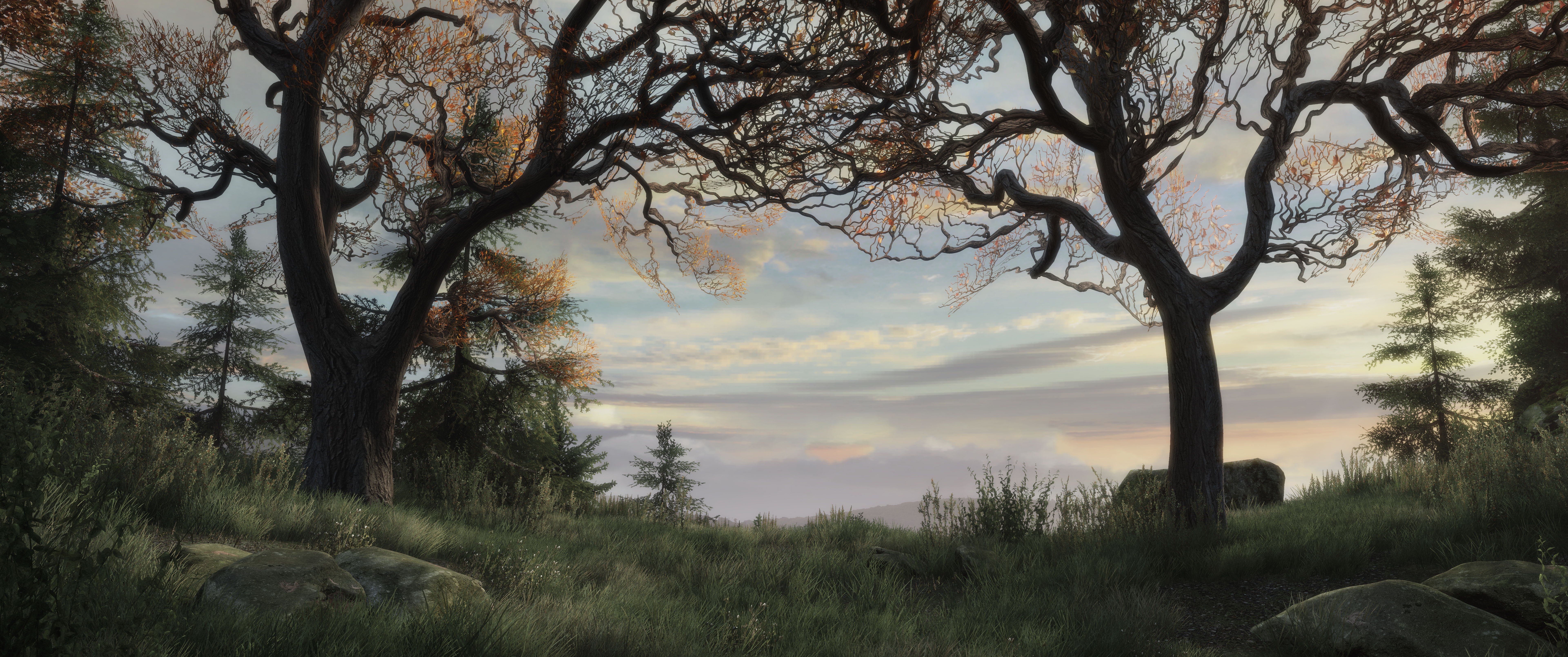 video games, Landscape, Trees, Sky, Grass Wallpaper