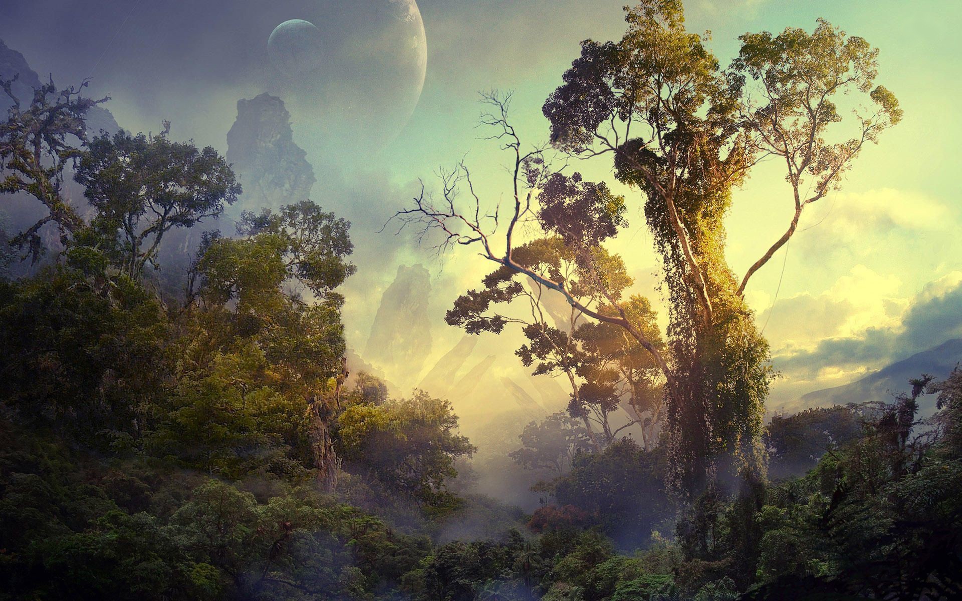 forest, Planet, Trees, Tropical, Clouds, Space, Bushes, Sky Wallpaper