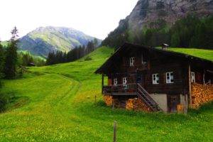 Switzerland, Lenk, Chalet, Green, Grass, Pine trees, Mountains, Alps, Swiss Alps, Bernese Alps