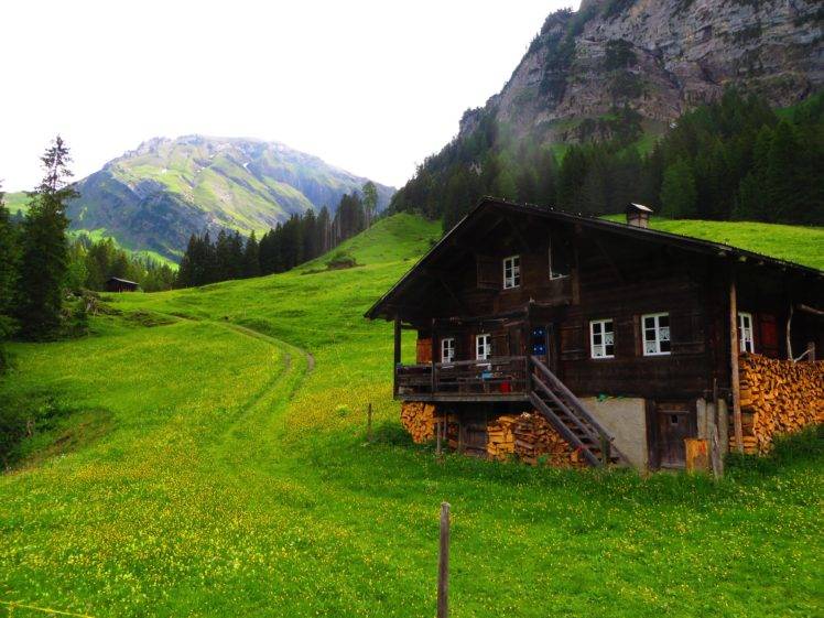 Switzerland, Lenk, Chalet, Green, Grass, Pine trees, Mountains, Alps, Swiss Alps, Bernese Alps HD Wallpaper Desktop Background