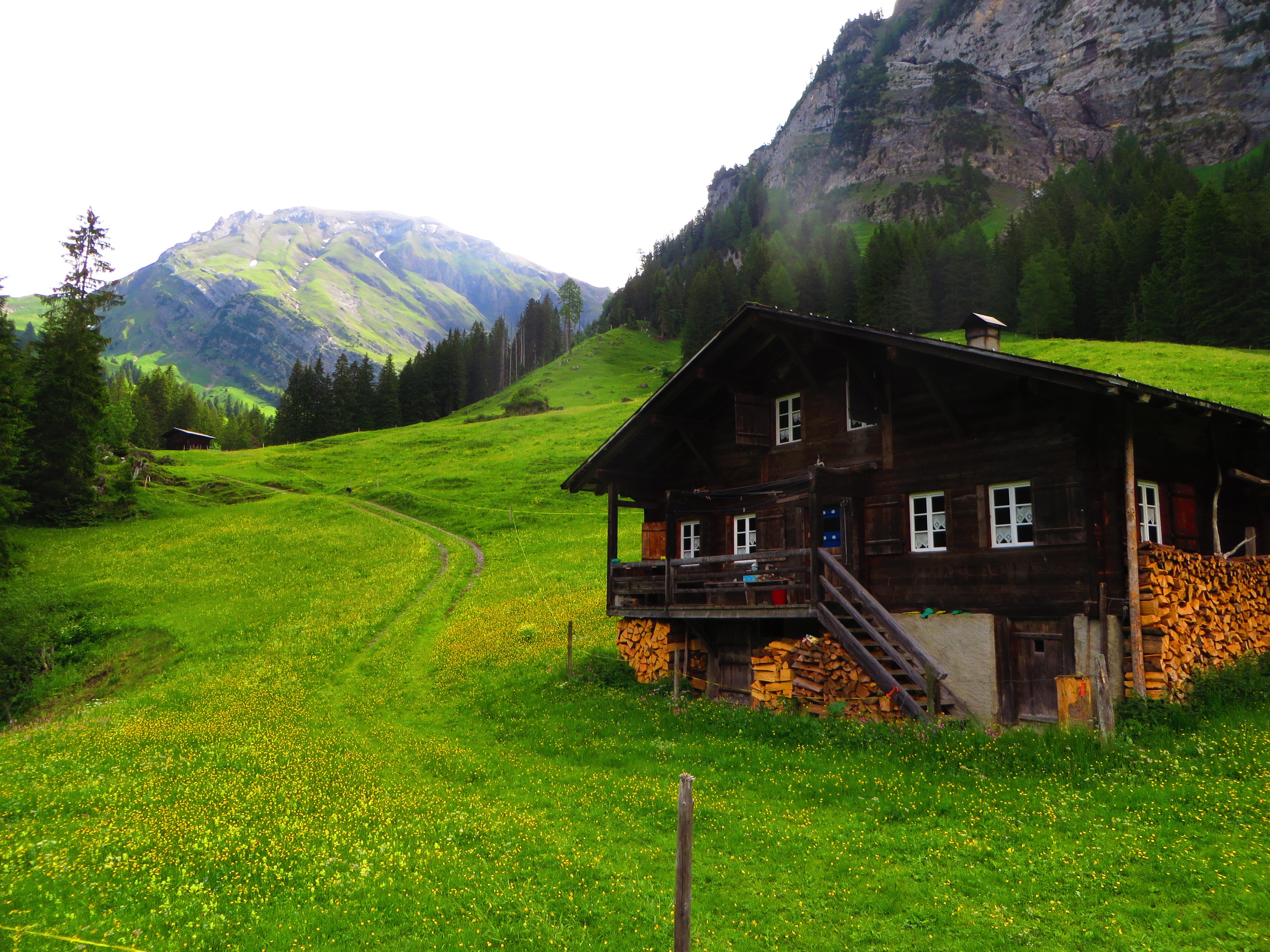 Switzerland, Lenk, Chalet, Green, Grass, Pine trees, Mountains, Alps, Swiss Alps, Bernese Alps Wallpaper
