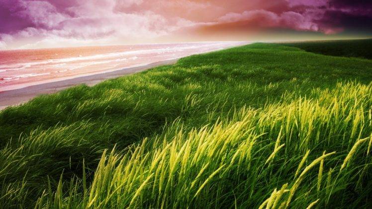 sunset, Grass, Sea, Coast HD Wallpaper Desktop Background