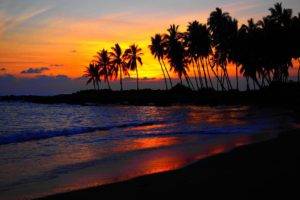 beach, Sunset, Palm trees