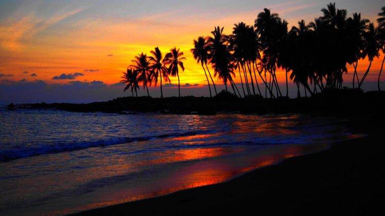 beach, Sunset, Palm trees HD Wallpaper Desktop Background