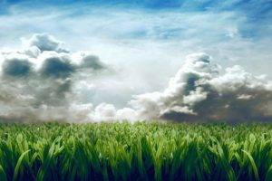 grass, Clouds, Digital art