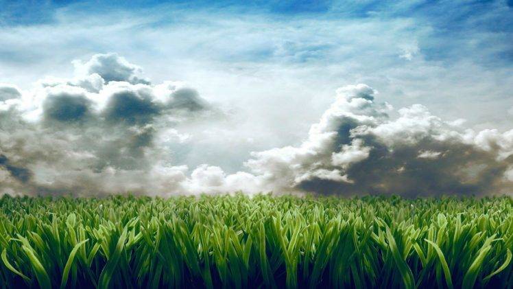 grass, Clouds, Digital art HD Wallpaper Desktop Background