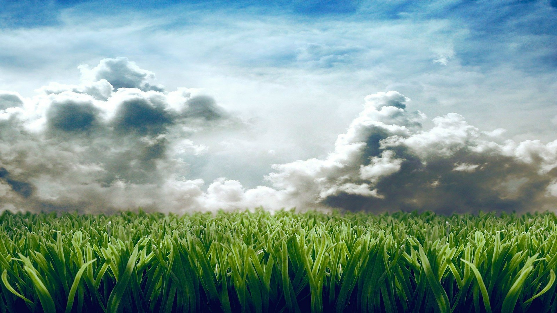 grass, Clouds, Digital art Wallpaper