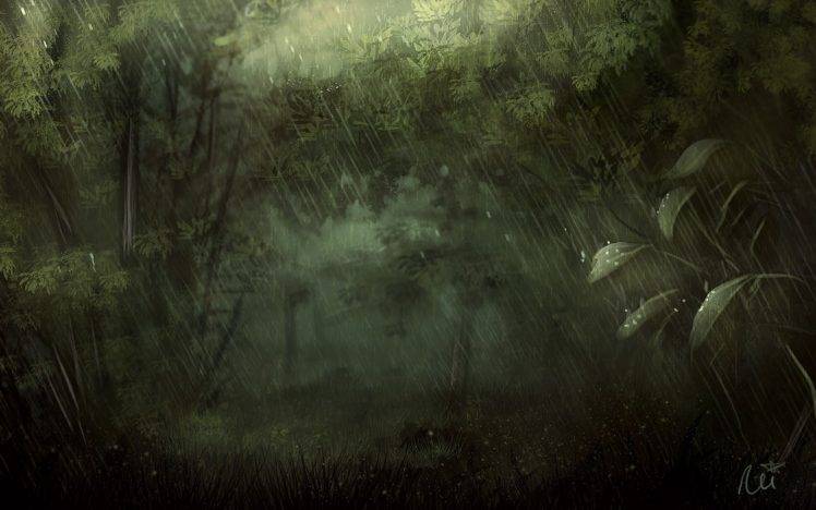 rain, Forest, Nature HD Wallpaper Desktop Background